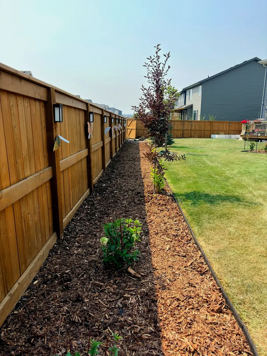 Same fence line with a new garden bed built, planted and freshly mulched