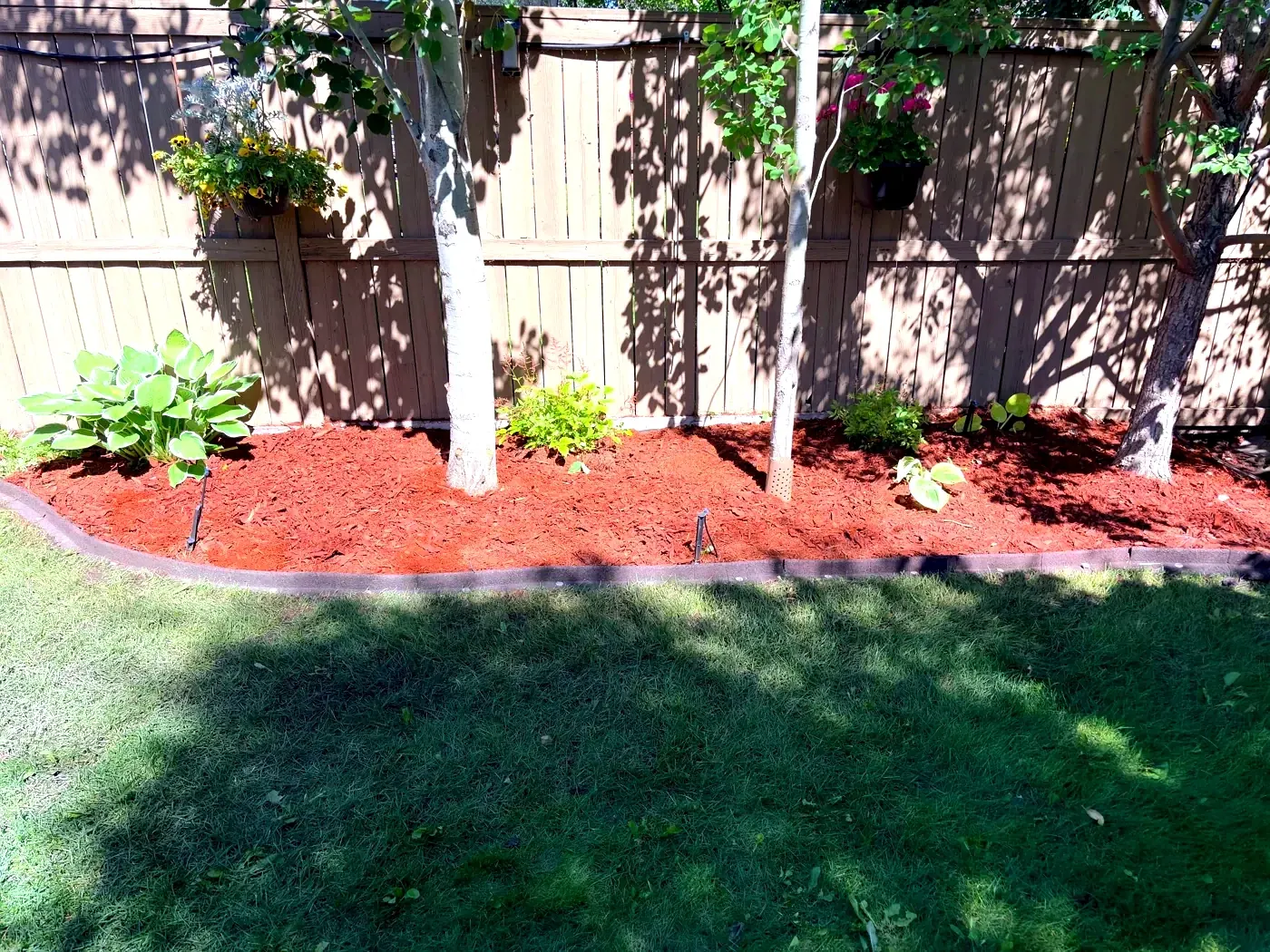 Fresh red mulch with clean edging installed in a Calgary garden bed