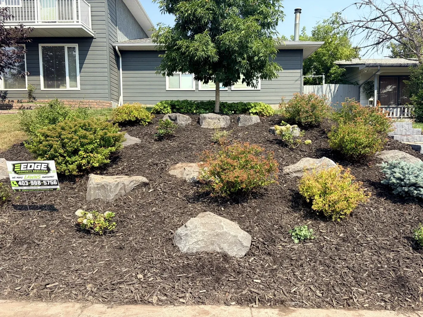 Same slope finished with black mulch, boulders and shaped shrubs by Edge Property Services; sign on site