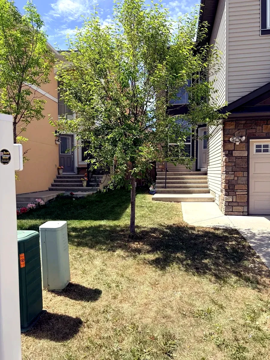 Same front yard after Edge Property Services mowing and cleanup