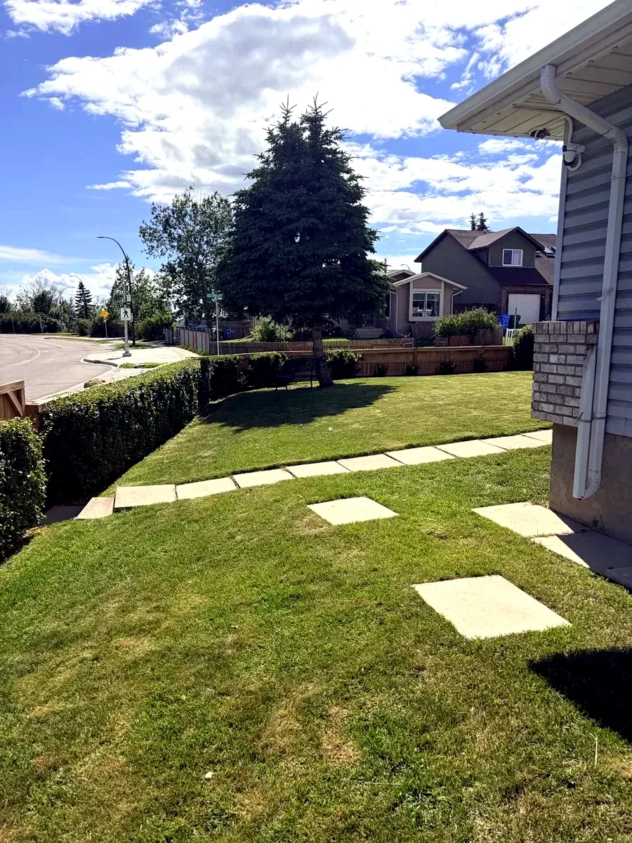 Same front lawn freshly mowed with tidy hedge; Calgary
