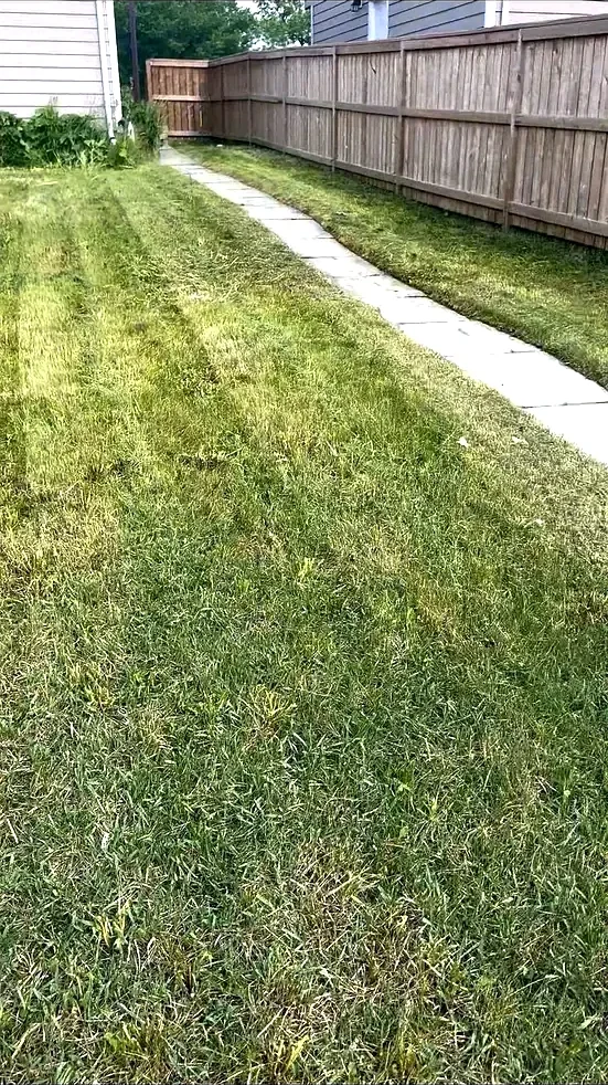Clean mowed backyard after Edge Property Services
