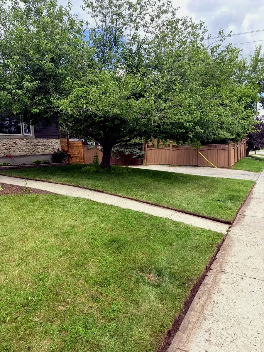 Same Calgary tree lifted and yard edged clean by Edge Property Services