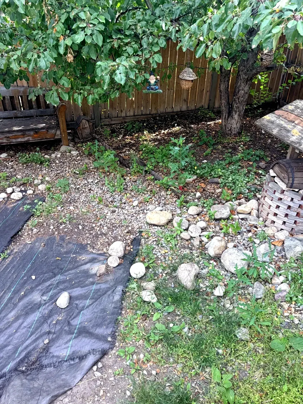 Neglected corner with weeds growing through rock and exposed landscape fabric; before