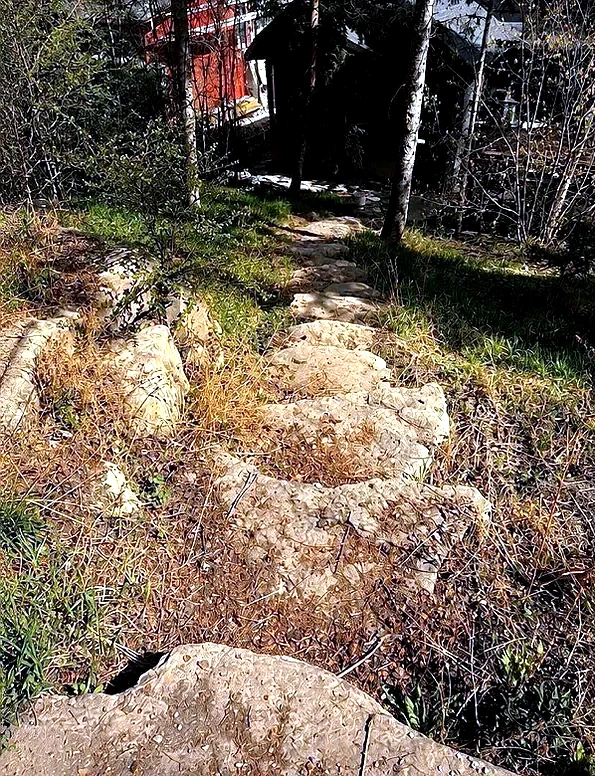 Stone steps buried in dry overgrowth; before cleanup, Calgary