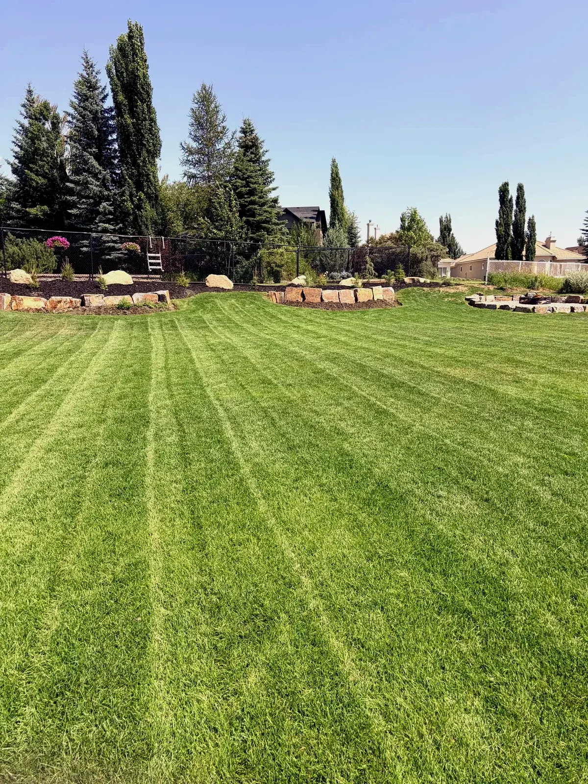 Striped estate lawn with boulder-edged landscape beds after weekly mowing; Calgary