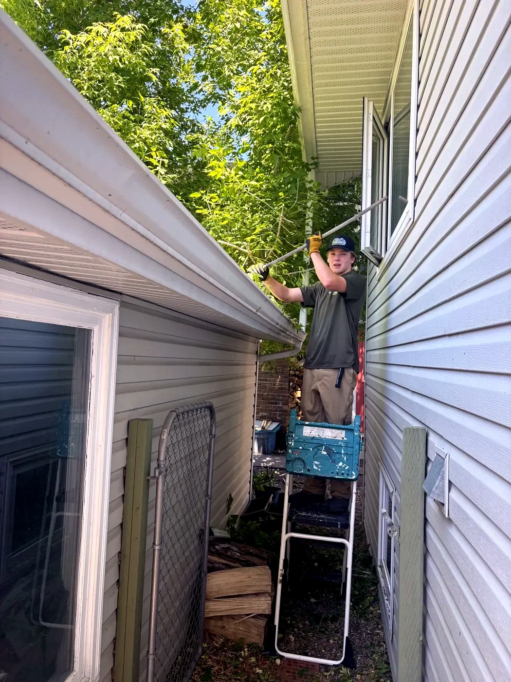 Kavin pruning overhanging branches between homes in Calgary; Edge Property Services