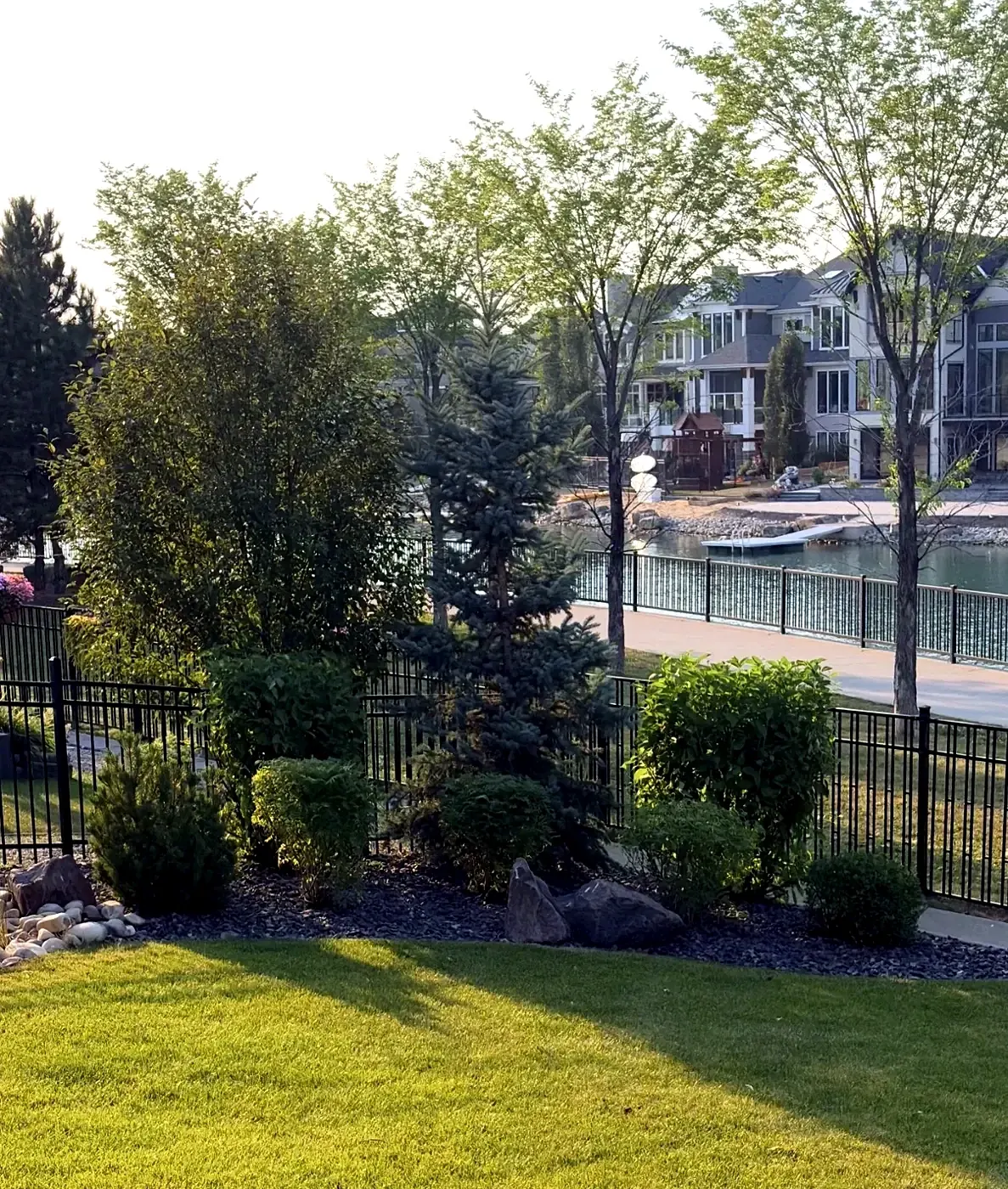 Sculpted bushes and shrubs shaped along a fence line in a Calgary lakefront yard; bush and shrub shaping by Edge Property Services