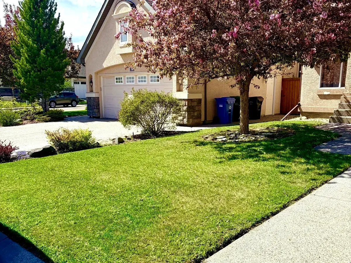 Thick, healthy green lawn maintained by Edge Property Services; Calgary
