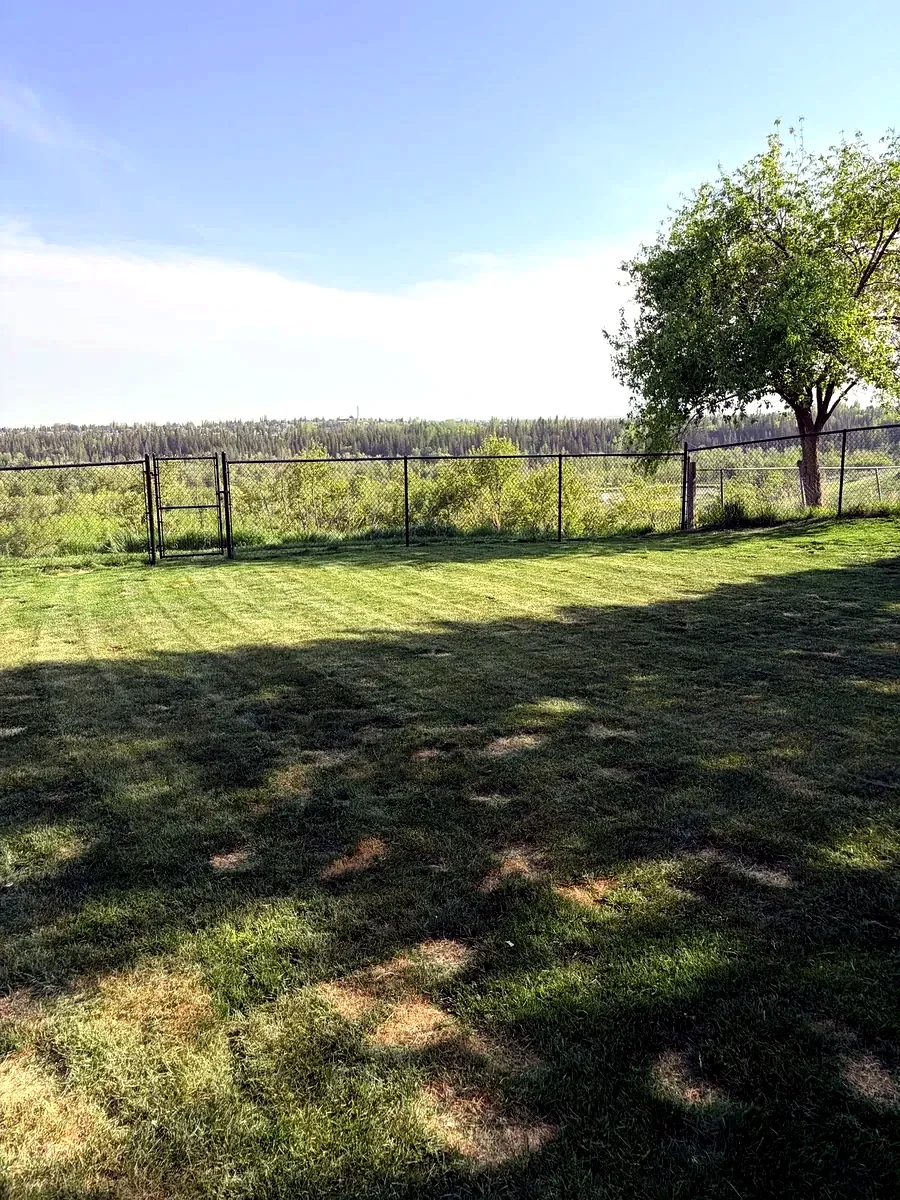 Fresh mowing stripes across a Calgary residential lawn maintained by Edge Property Services