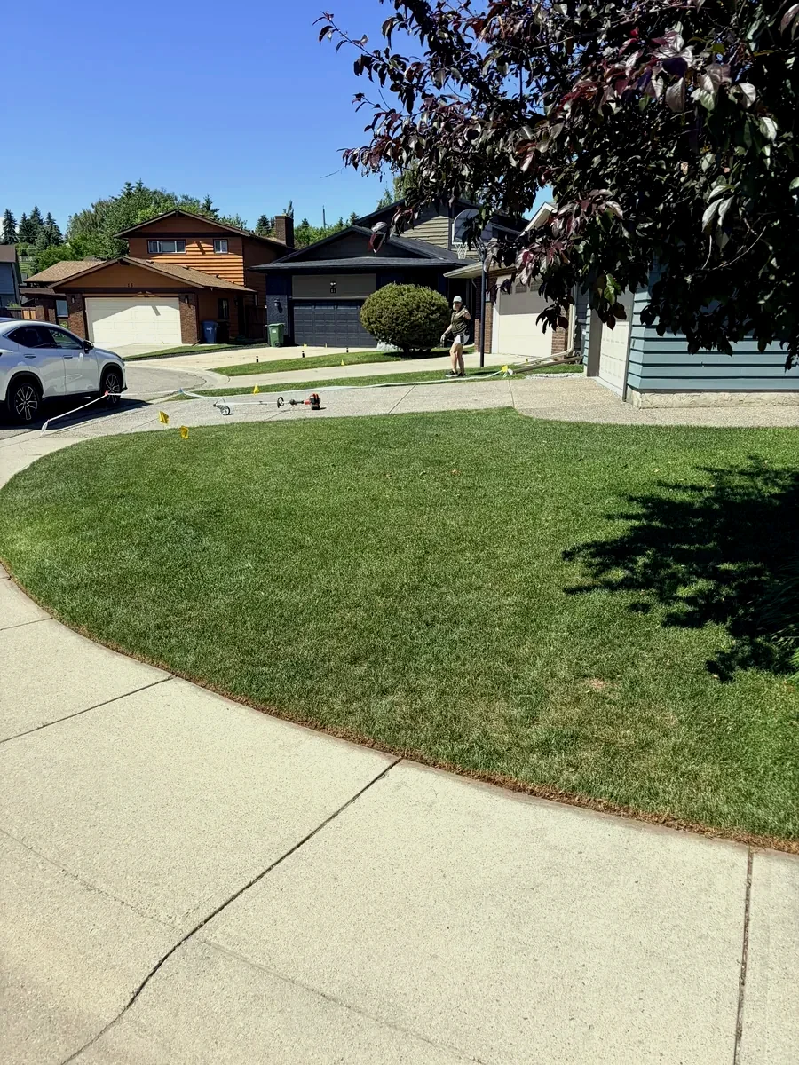 Cleanly edged curved lawn line by Edge Property Services; Calgary