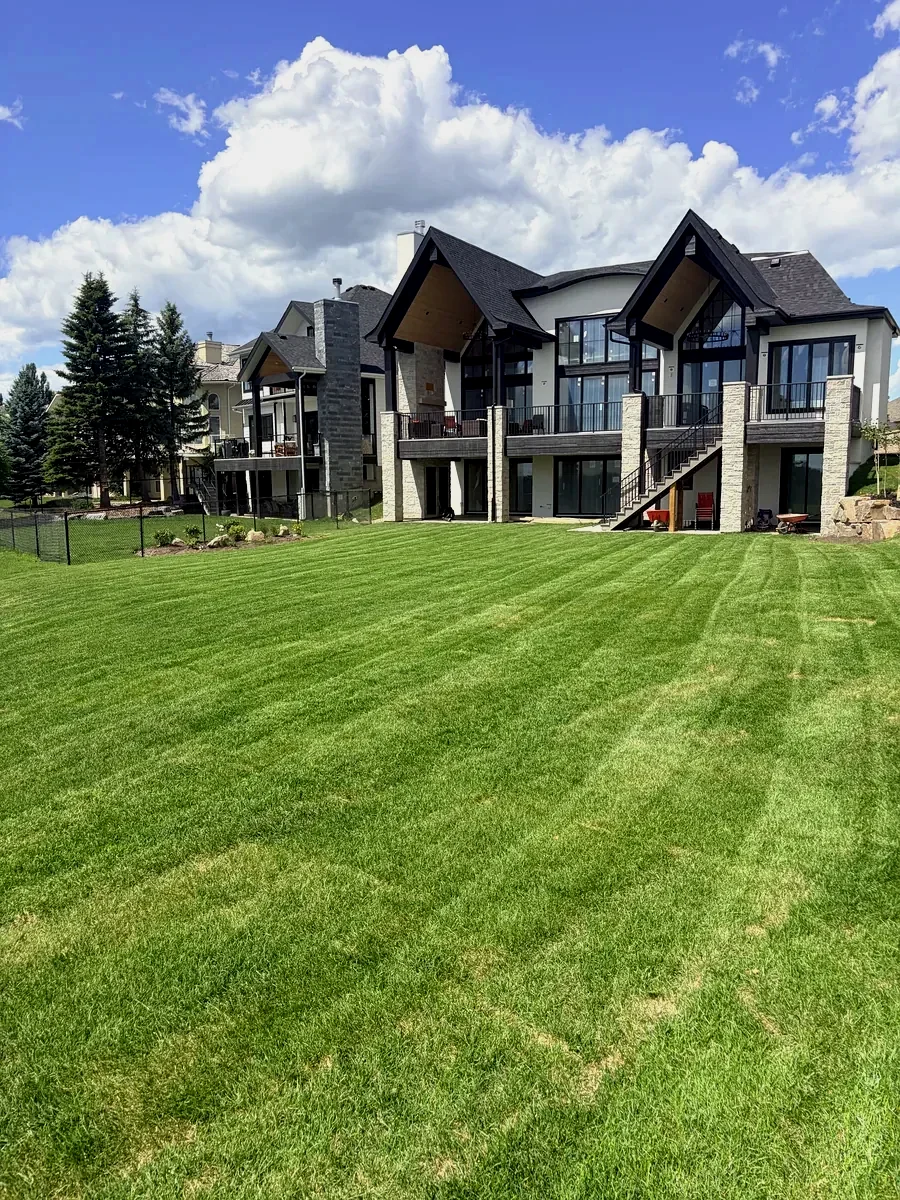 Large estate lawn freshly mowed with crisp stripes behind a modern Calgary home