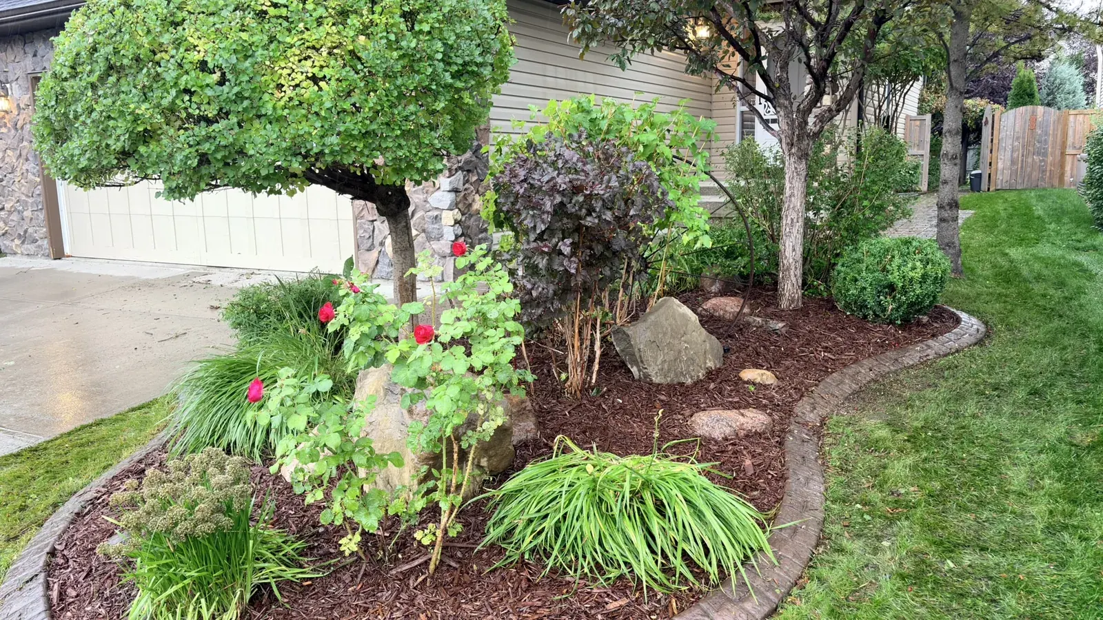 Finished front landscape bed after cleanup, shaping and fresh mulch installation in Calgary